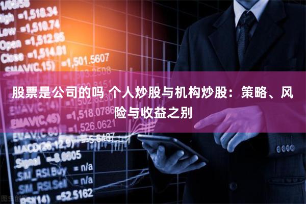 股票是公司的吗 个人炒股与机构炒股：策略、风险与收益之别